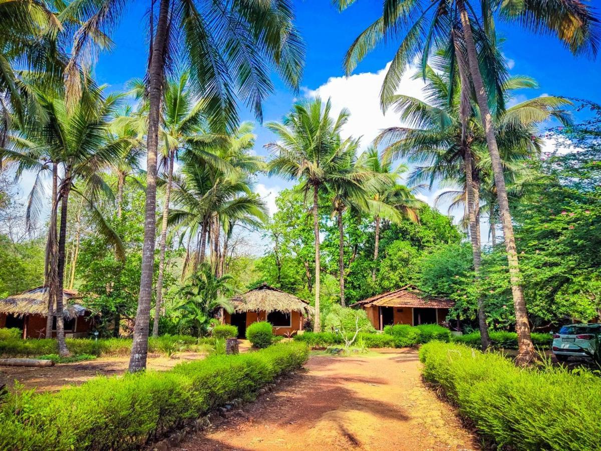 Nature's Nest Eco Goa, Near Dudhsagar Waterfalls Campsite Molem