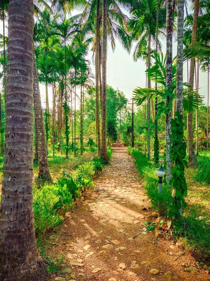 Campsite Nature's Nest Eco Goa, Near Dudhsagar Waterfalls Molem