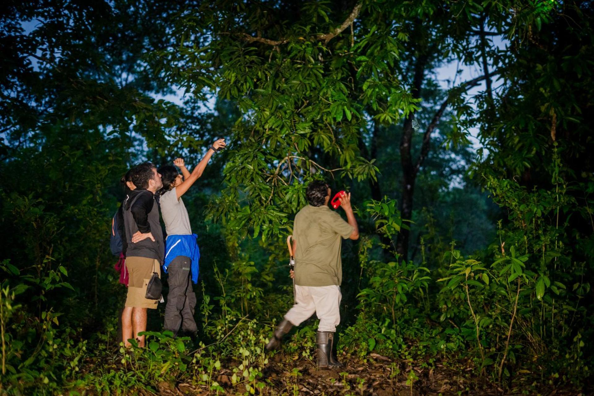 Nature's Nest Eco Goa, Near Dudhsagar Waterfalls *