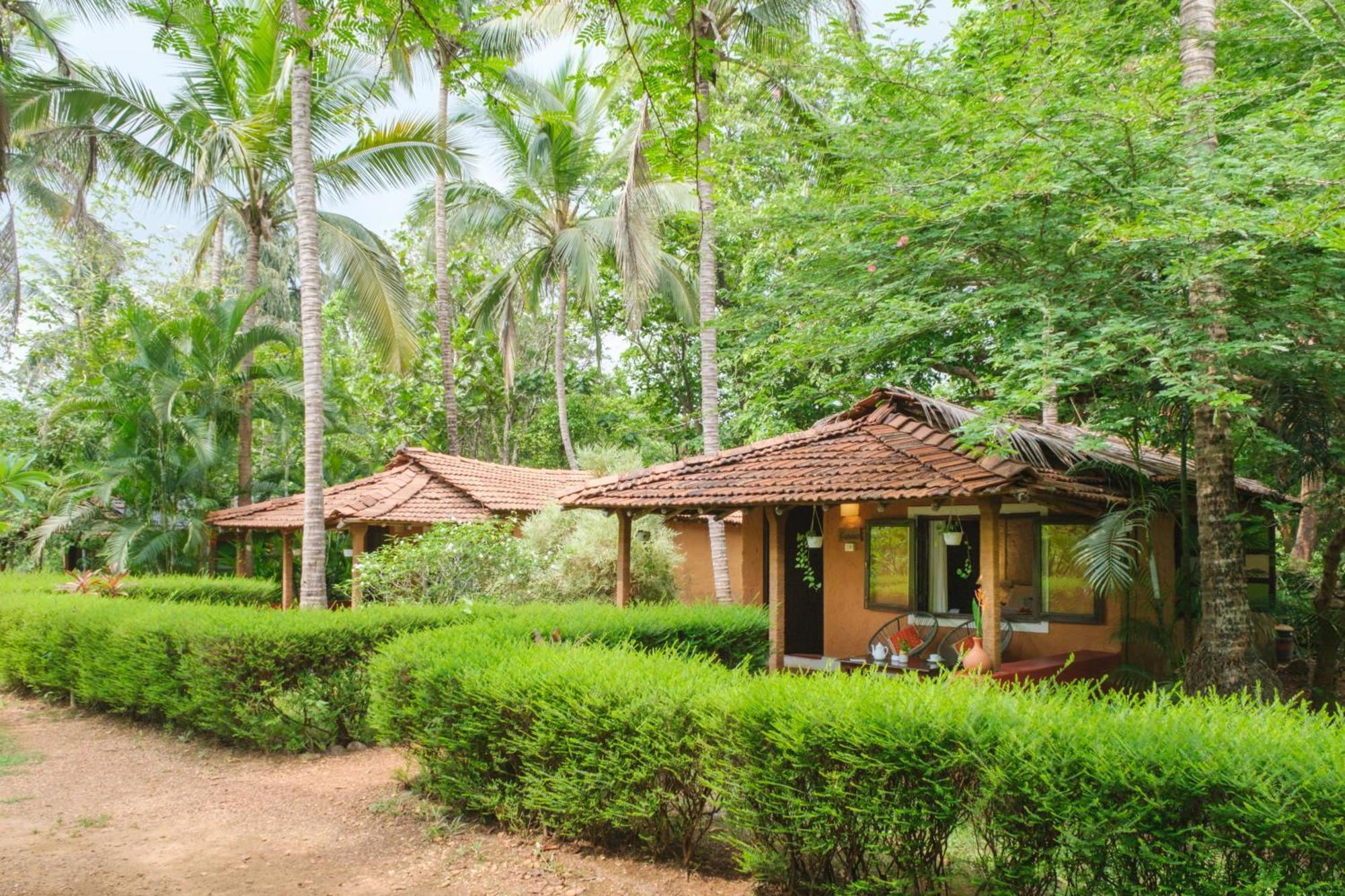 Nature's Nest Eco Goa, Near Dudhsagar Waterfalls Campsite