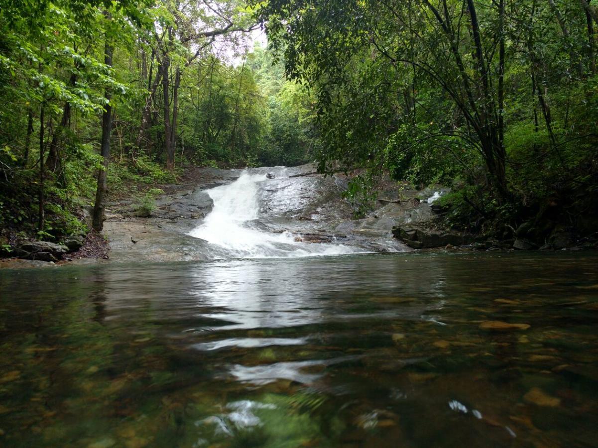 Nature's Nest Eco Goa, Near Dudhsagar Waterfalls Molem